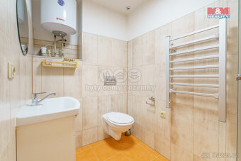 Prodej rodinného domu, 228 m², Františkovy Lázně - 14