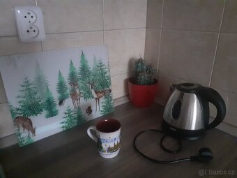 Prostorný a krásný byt ve Vysočanech - 14