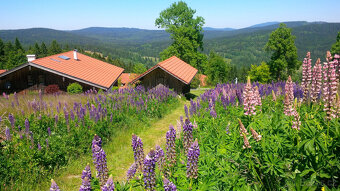 Jaro a léto na Šumavě - 14
