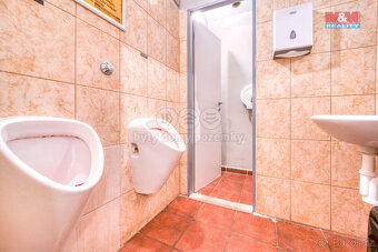 Pronájem restaurace, bar, 102 m², Plzeň, ul. Americká - 14