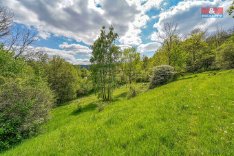 Prodej pozemku k bydlení, 10400 m², Sušice - 14