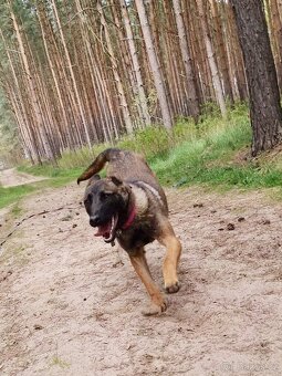 FREYA K ADOPCI - dokonalá parťačka - 14