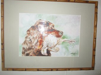 obrazy pro myslivce-bažant-tetřev-jelen-olejomalba - 14