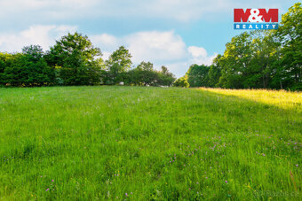 Prodej louky, 18692 m², Jílové u Prahy - 14