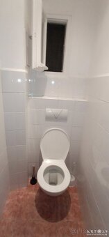 Pronájem, Byty 2+kk, 45 m2 - Brno - Veveří, ev.č. 311251002 - 14