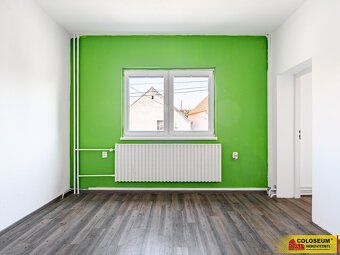 Velké Pavlovice - RD vícegenerační, zahrada, rekonstrukce – - 14