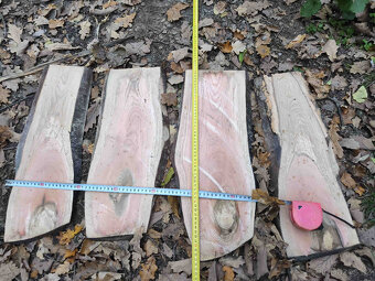 jasanové desky z rozvidlení kmenu, vhodné na mísy, síla 6cm - 14