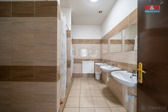 Pronájem hotelu, penzionu, 235 m², Újezd - 14