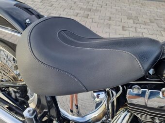 Harley- Davidson FLSTC Softail Heritage Classic, 2010 - 14