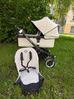 Buffalo Bugaboo - 14