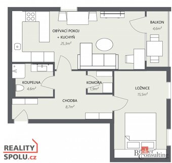 Pronájem, byty/2+kk, 56 m2, Nová, Chotěšov, Plzeň-jih [ID 79 - 14