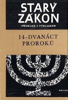 BIBLE S VÝKLADEM - 14