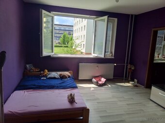 Prodej bytu 2+1 45.m2 Olomouc Nové Sady - 14