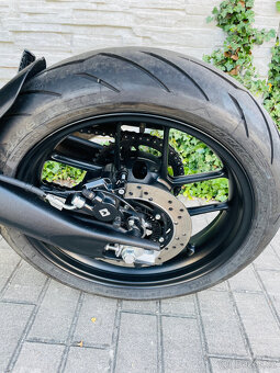Triumph Speed 400 r.v.2024 - 14