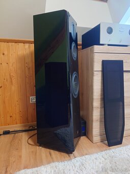 Aurum Cantus M-102HG - 14