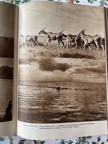 Knihy v ruštině různé - 14