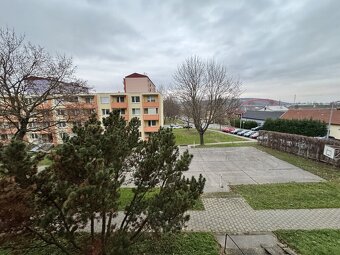 Pronájem bytu 2+1 s lodžií - Napajedla - 14