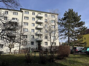Prodej bytu 2+1 (55 m2) s balkónem - Praha - Hloubětín - 14