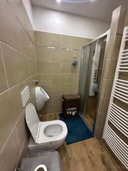 Prodej rodinného domu 350 m², pozemek 823 m² Mnichovo Hradiš - 14