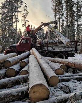 Praga V3S lesovůz, sklápěčka - 14