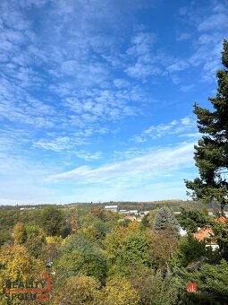 Pronájem, byty/2+1, 80 m2, Praha , Hlavní město Praha [ID 79 - 14