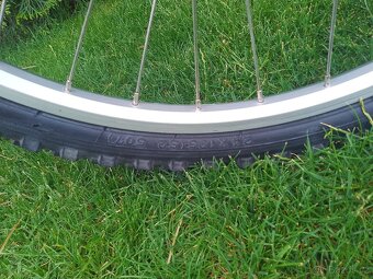 Detske kolo 24 PELLS Razzer - 14