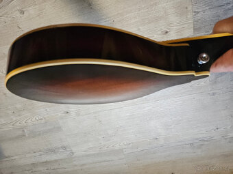 Celomasivní mandolína FURCH Ma 2 A - 14