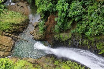 Farma Kostarika Golfito - 14