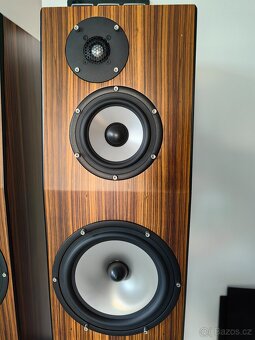 Sonics Amerigo - 14