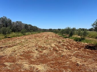Prodám pozemek 9000m2 7km od moře na jihu Itálie - 14