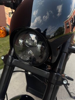 Harley Davidson Street rod 750 - 14