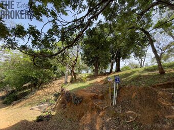 LOT 5 Bodden Bight Estate, Roatan - 14