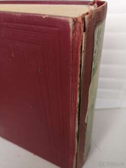 Starožitná kniha, lékařská příručka - 14