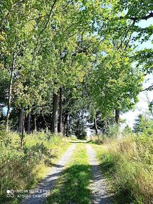 Prodej komerční nemovitosti, Nové Valteřice, okr. Olomouc - 14