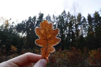 Canon RF 16 mm F2.8 STM - 14