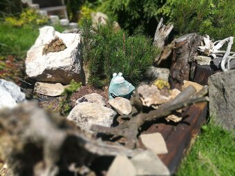 Zahradní chata Skalice - 14