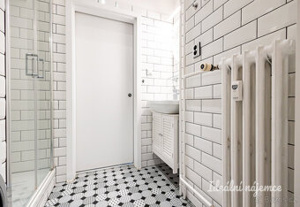 Pronájem bytu 2kk, Opletalova, Nové Město, 42 m2 - 14