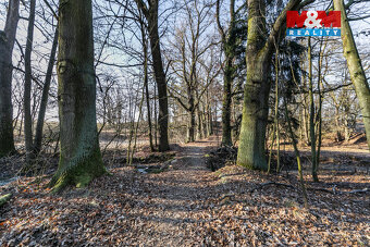 Prodej lesa, 685 m², Horšovský Týn - 14