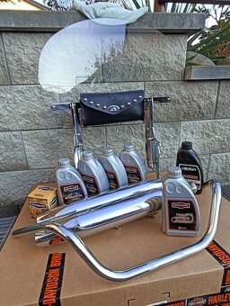 Harley Davidson-Výroční model 100 let - 14