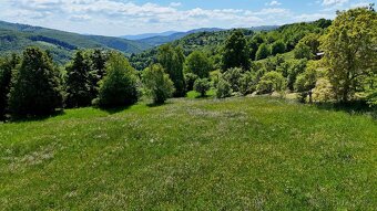 Jedinečný stavební pozemek v Žítkové-3484m2,elektřina,studna - 14