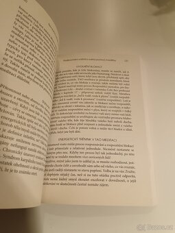 Revoluční cvičení čchi - 14