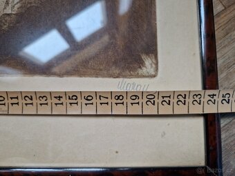 Obrazy - cenu nabídněte - 14