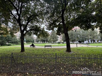 Multifunkční prostory Arbesovo náměstí - 14