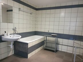 Prodám dům v Krušných horách,  obytná 300m2, pozemek 1177m2. - 14