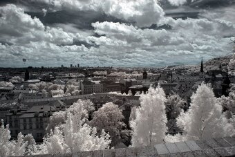 Olympus E-M1 - po IR konverzii 720 nm - 14