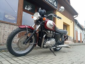 Triumph  Bonneville T 100 - 14