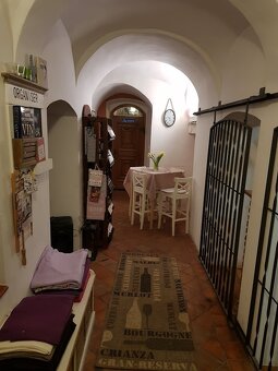 Prodej exkluzivní nemovitosti na bydlení i podnikání v centr - 14