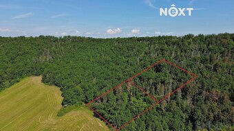 Prodej pozemek Lesy, 3149㎡ - 14