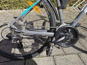 Kolo GT TRANSEO COMP GRY 2021 19"(US:L) - 14