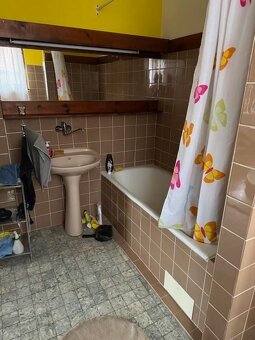 Prodej domu 250 m² s pozemkem 1 452 m² - 14